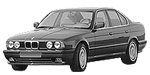 BMW E34 P0113 Fault Code